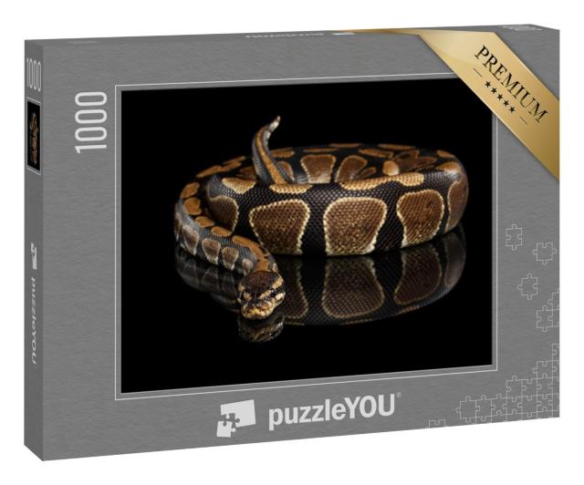 Puzzle 1000 Teile „Königspython“