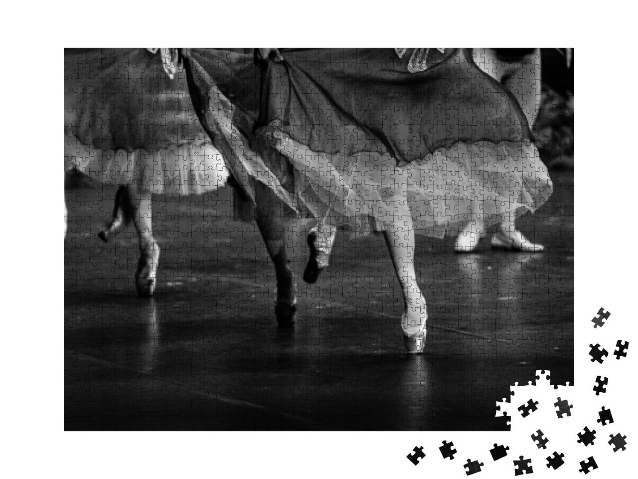 Puzzle 1000 Teile „Schwanensee-Ballett, schwarz-weiß“