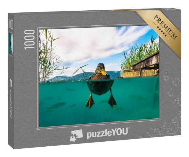 Puzzle 1000 Teile „Unterwasserbild einer Ente und mit einigen Fischen in einem See, Österreich“