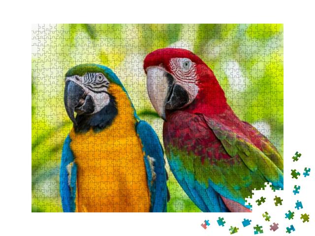 Puzzle 1000 Teile „Bunte Vögel: Papagei, Aras, Nahaufnahme“