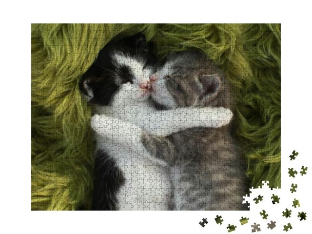 Puzzle 1000 Teile „Zwei kuschelige Kätzchen“