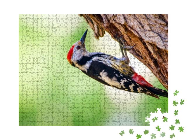 Puzzle 1000 Teile „Ein Specht am Baum“