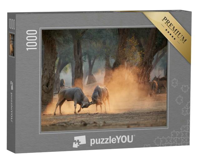 Puzzle 1000 Teile „Elandantilope, Taurotragus Oryx, zwei Männchen kämpfen, Simbabwe“