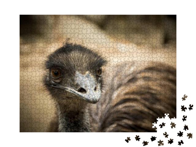Puzzle 1000 Teile „Emu, sitzend“