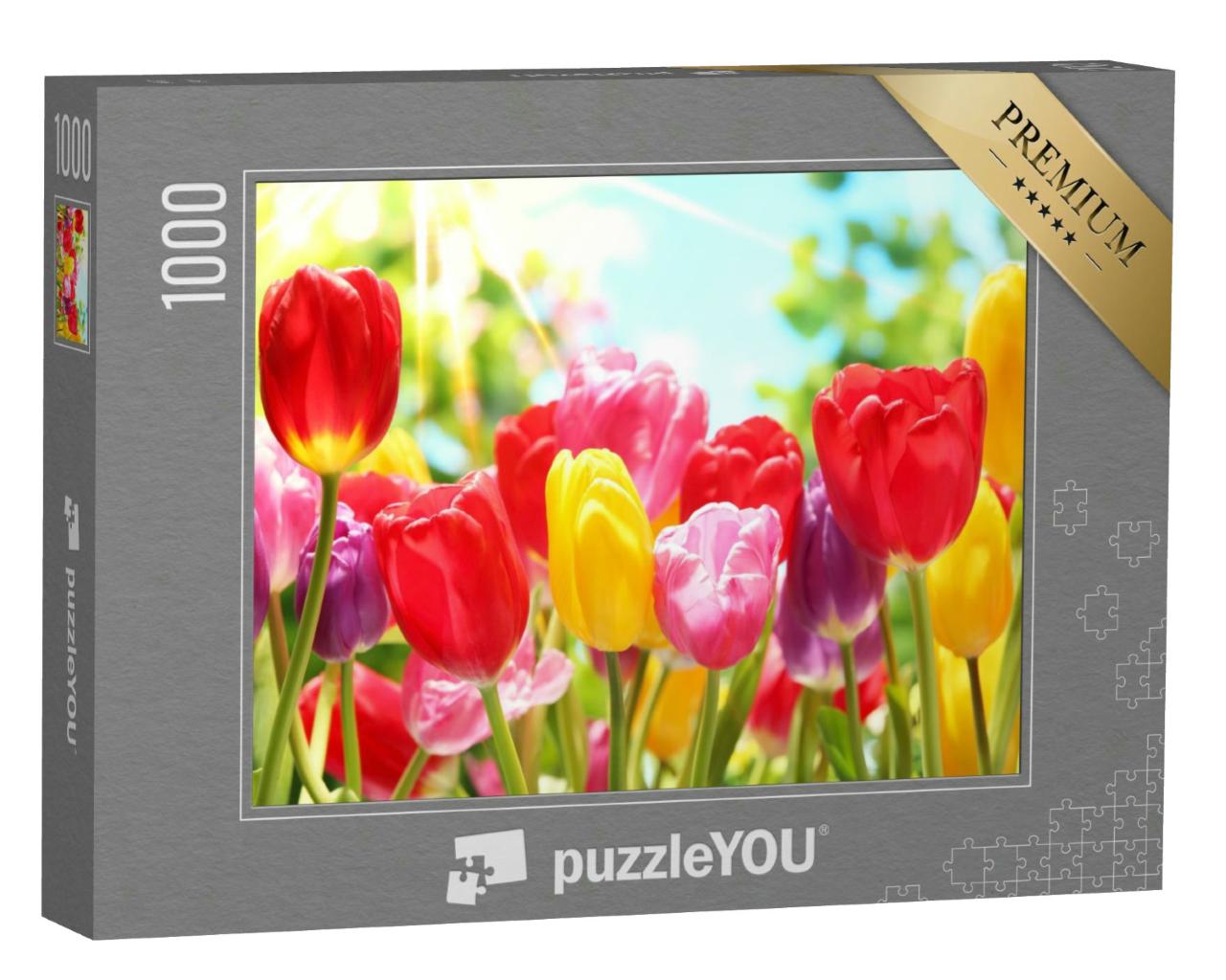 Puzzle 1000 Teile „Frische bunte Tulpen im warmen Sonnenlicht“