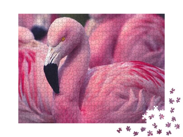 Puzzle 1000 Teile „Flamingo aus Chile“