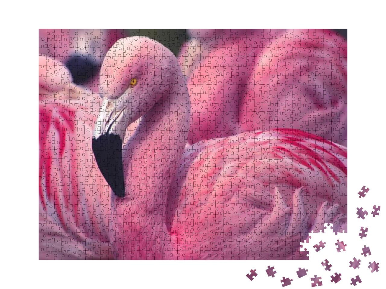 Puzzle 1000 Teile „Flamingo aus Chile“