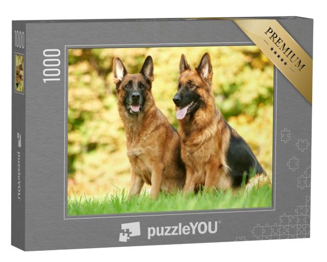 Puzzle 1000 Teile „Zwei Deutsche Schäferhunde sitzen auf grünem Gras im Herbst“