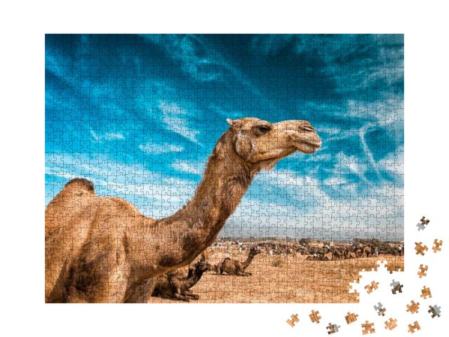 Puzzle 1000 Teile „Kamel auf der Pushkar Mela“