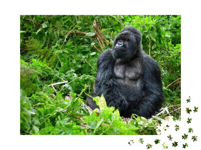 Puzzle 1000 Teile „Silberrücken-Berggorilla in einem Regenwald in Ruanda“
