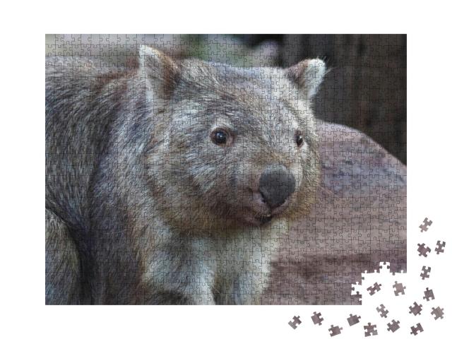 Puzzle 1000 Teile „Wombat, heimisch in Australien“