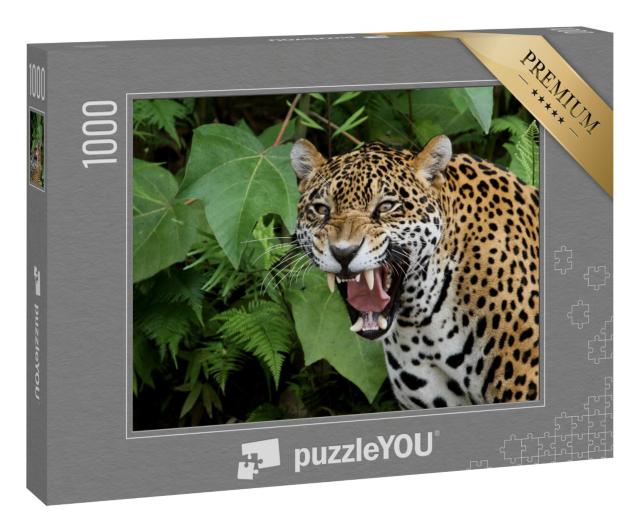 Puzzle 1000 Teile „Jaguar im Amazonaswald“