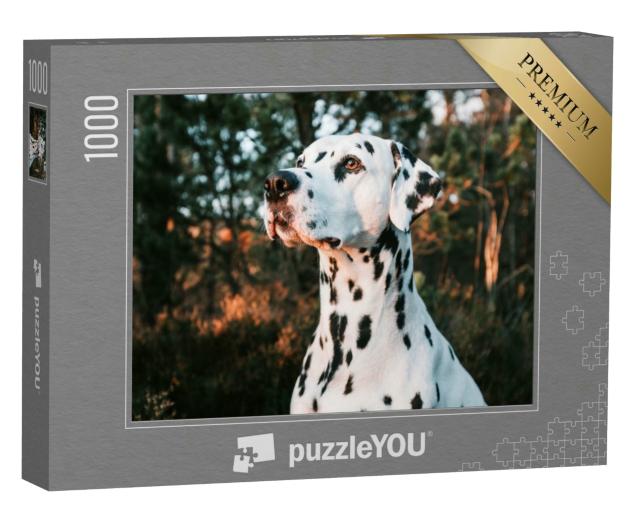 Puzzle 1000 Teile „Portrait: Dalmatiner, schöne Landschaft und Sonnenuntergang“