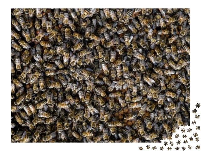 Puzzle 2000 Teile „Ein Schwarm Honigbienen“