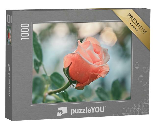 Puzzle 1000 Teile „Rosa Blumen: Rose vor unscharfem Hintergrund“
