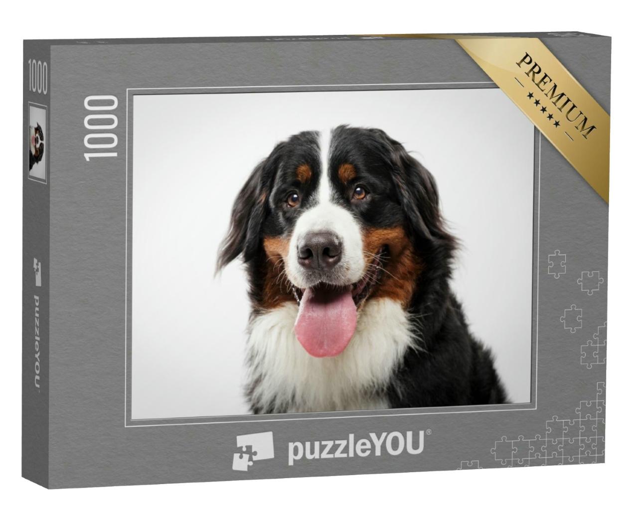 Puzzle 1000 Teile „Porträt eines ausdrucksstarken schwarzen Berner Sennenhundes“
