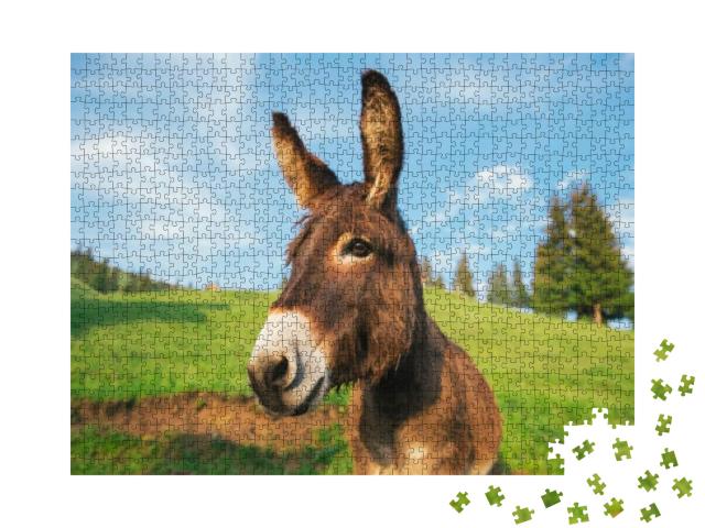 Puzzle 1000 Teile „Bild eines lustigen Esels bei Sonnenuntergang in Transsilvanien“
