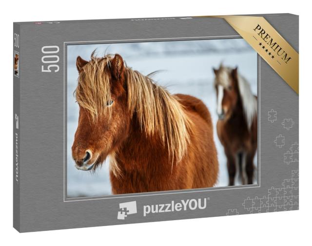 Puzzle 500 Teile „Porträt eines schönen Islandpferdes, im Hintergrund ein weiteres Pferd“
