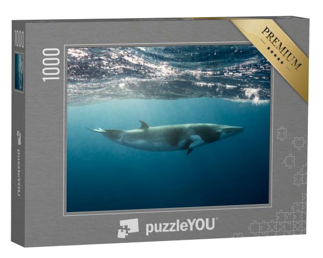 Puzzle 1000 Teile „Kleiner Wal, der beim Schnorcheln und Tauchen am Great Barrier Reef gesehen wird“