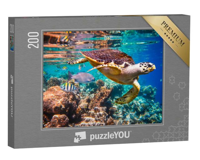 Puzzle 200 Teile „Echte Karettschildkröte im Korallenriff“