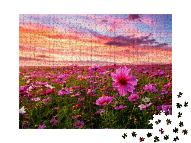 Puzzle 1000 Teile „Kosmeen blühen vor dem Sonnenuntergang, Schmuckkörbchen“