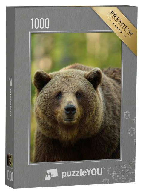 Puzzle 1000 Teile „Braunbär: Ursus arctos, Porträt im Wald“