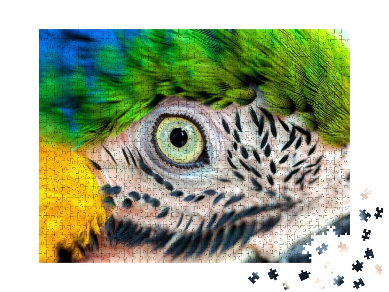 Puzzle 1000 Teile „Detailaufnahme: Papageienauge“