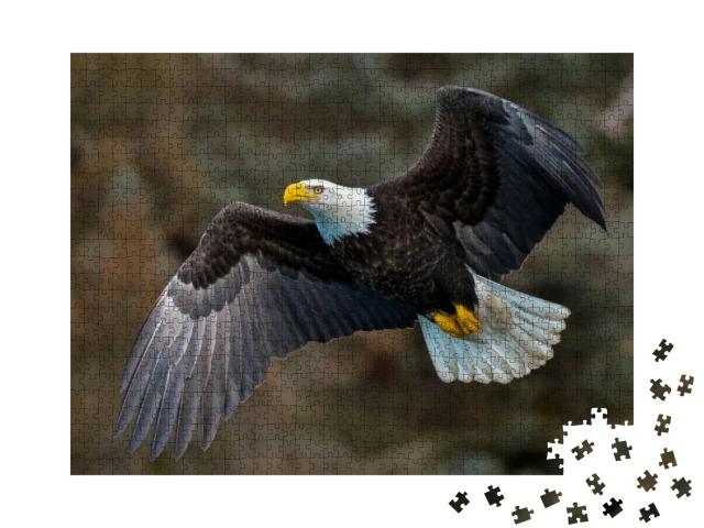 Puzzle 1000 Teile „Weißkopfseeadler fliegt an einem Berghang, Alaska“
