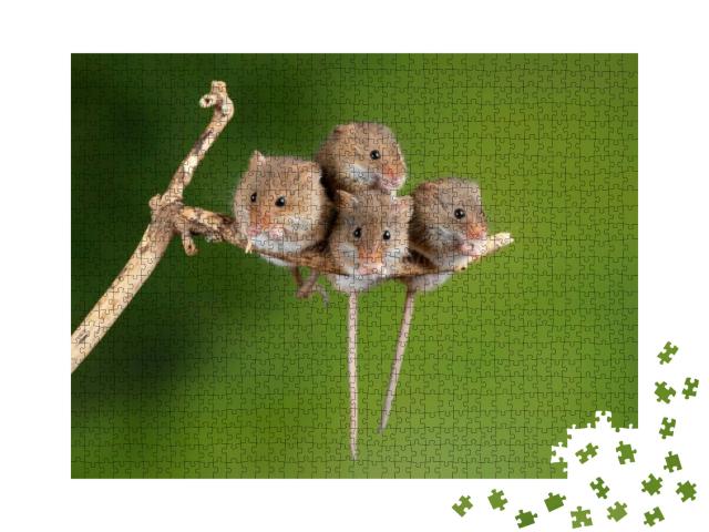 Puzzle 1000 Teile „Vier süße Mäuse auf einem winzigen Ast“