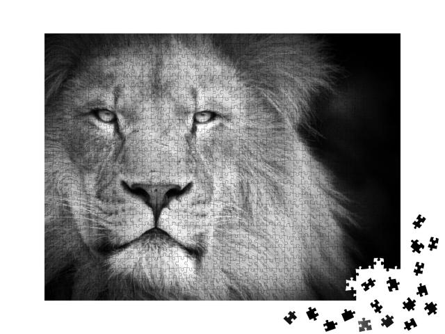 Puzzle 1000 Teile „Porträt eines Löwen, schwarz-weiß“