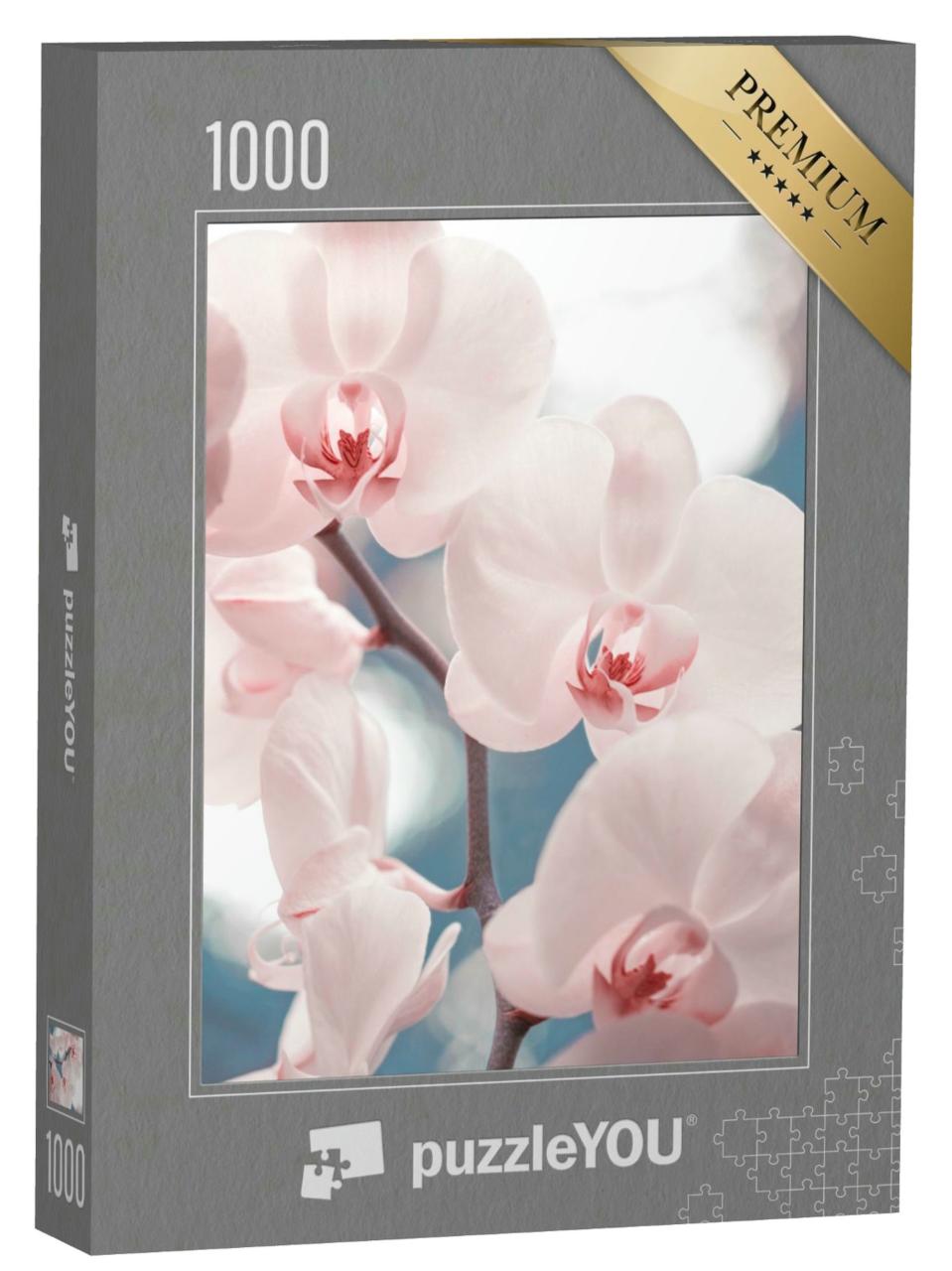 Puzzle 1000 Teile „Zartrosa Phalaenopsis-Orchidee“