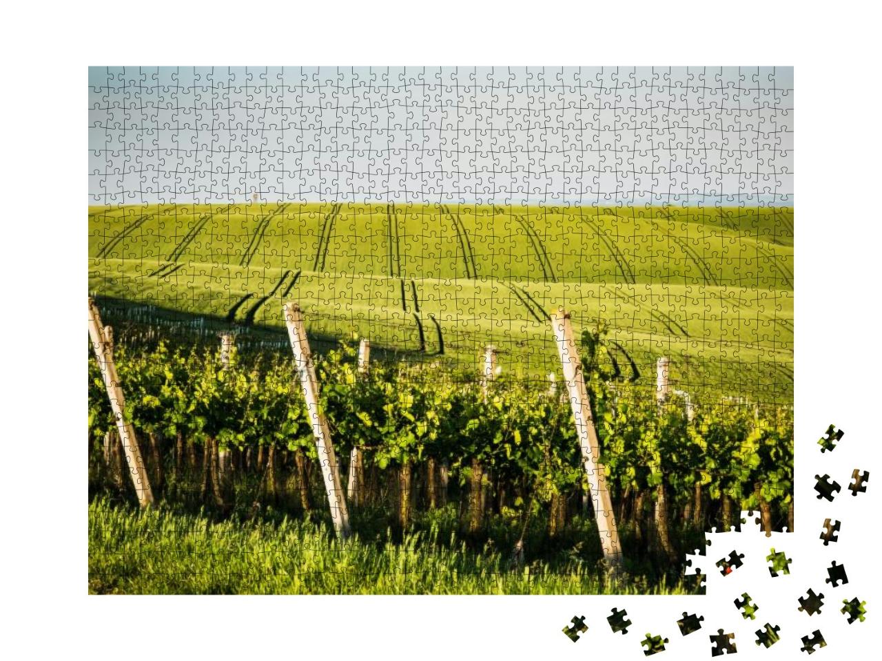 Puzzle 1000 Teile „Sanfte Hügel: Weinberge und landwirtschaftliche Felder“
