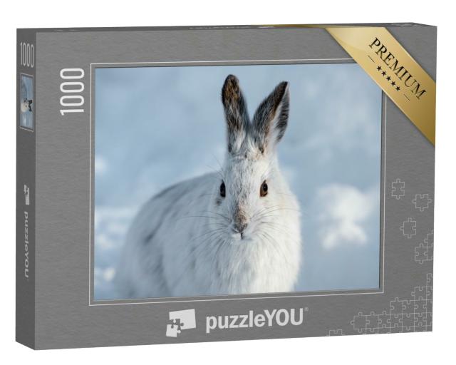 Puzzle 1000 Teile „Weißer Schneeschuhhase mit braunen Ohren“