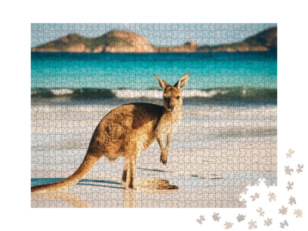 Puzzle 1000 Teile „Känguru, Lucky Bay, Cape Le Grand National Park, Australien“