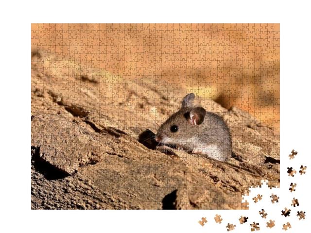 Puzzle 1000 Teile „Die winzig kleine nordamerikanische Hirschmaus“