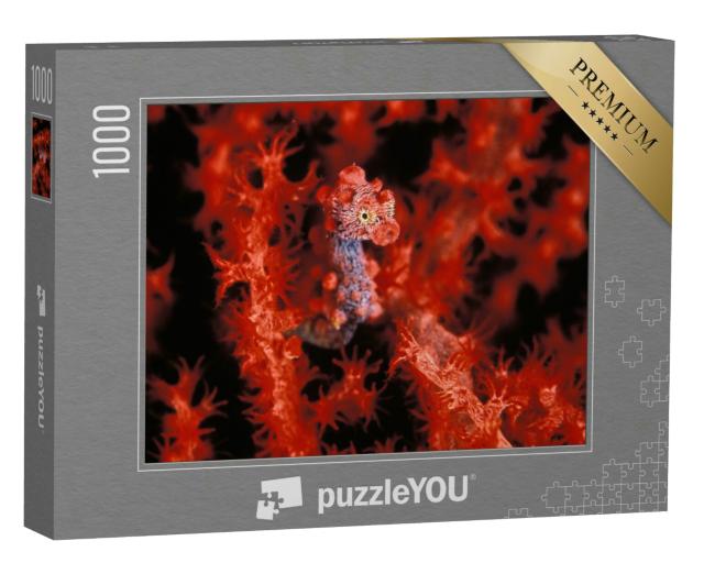 Puzzle 1000 Teile „VersteckspieL Ein leuchtend rotes Pygmäen-Seepferdchen“