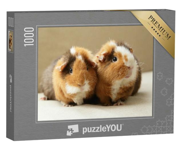 Puzzle 1000 Teile „Zwei niedliche Meerschweinchen“
