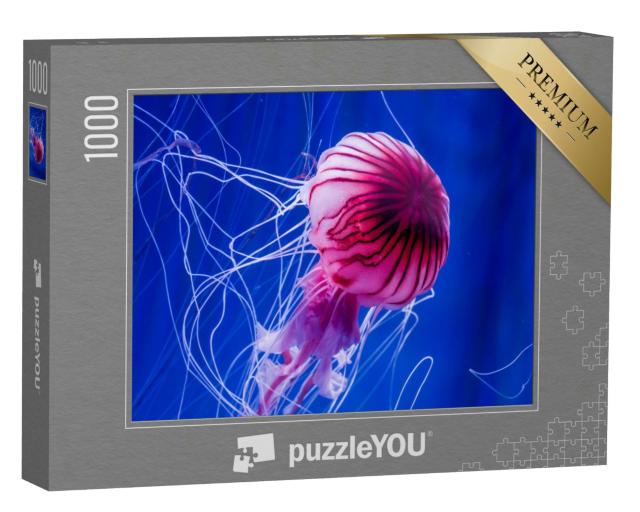 Puzzle 1000 Teile „Rosafarbene Qualle vor einem blauen Meereshintergrund, Nahaufnahme“