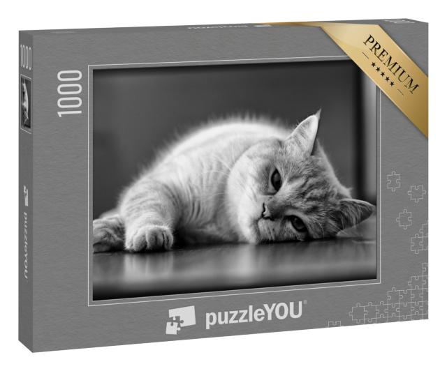 Puzzle 1000 Teile „Schläfrige Katze, schwarz-weiß“