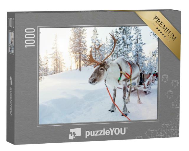 Puzzle 1000 Teile „Rentiere in einem Winterwald in Finnisch-Lappland“