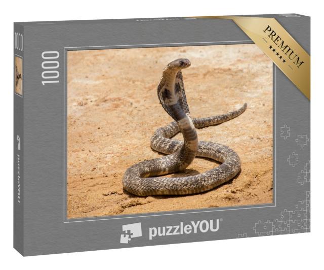 Puzzle 1000 Teile „Die Königskobra auf Sand“