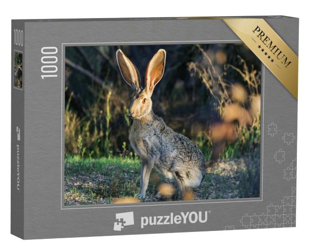 Puzzle 1000 Teile „Wilder Hase: Arizona Jack Rabbit in der Wüste“