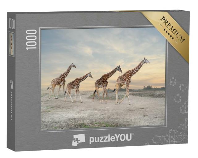 Puzzle 1000 Teile „Giraffenherde“