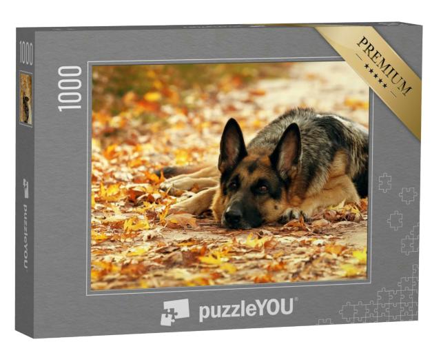 Puzzle 1000 Teile „Deutscher Schäferhund liegt im Herbstwald vor schönem gelben Laub“