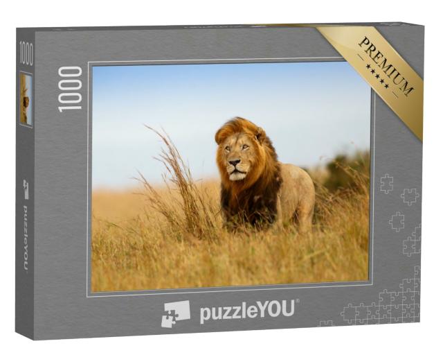 Puzzle 1000 Teile „Beeindruckender Löwe im goldenen Gras der Masai Mara, Kenia“