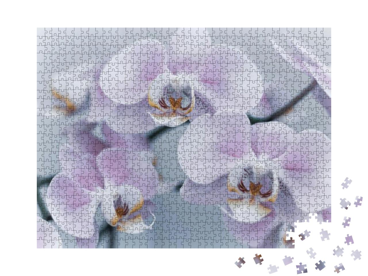 Puzzle 1000 Teile „Schöne zarte Orchidee in weichem Licht“