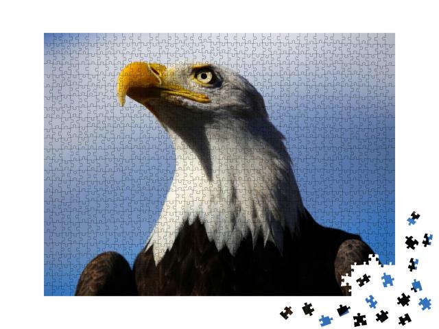 Puzzle 1000 Teile „Weißkopfseeadler mit blauem Himmel“