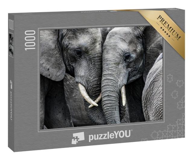 Puzzle 1000 Teile „Elefanten“