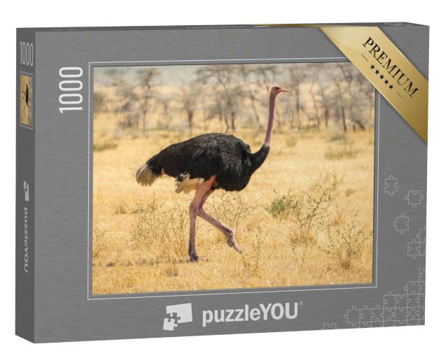 Puzzle 1000 Teile „Straußenwanderung, Safari, Steppe in Afrika“
