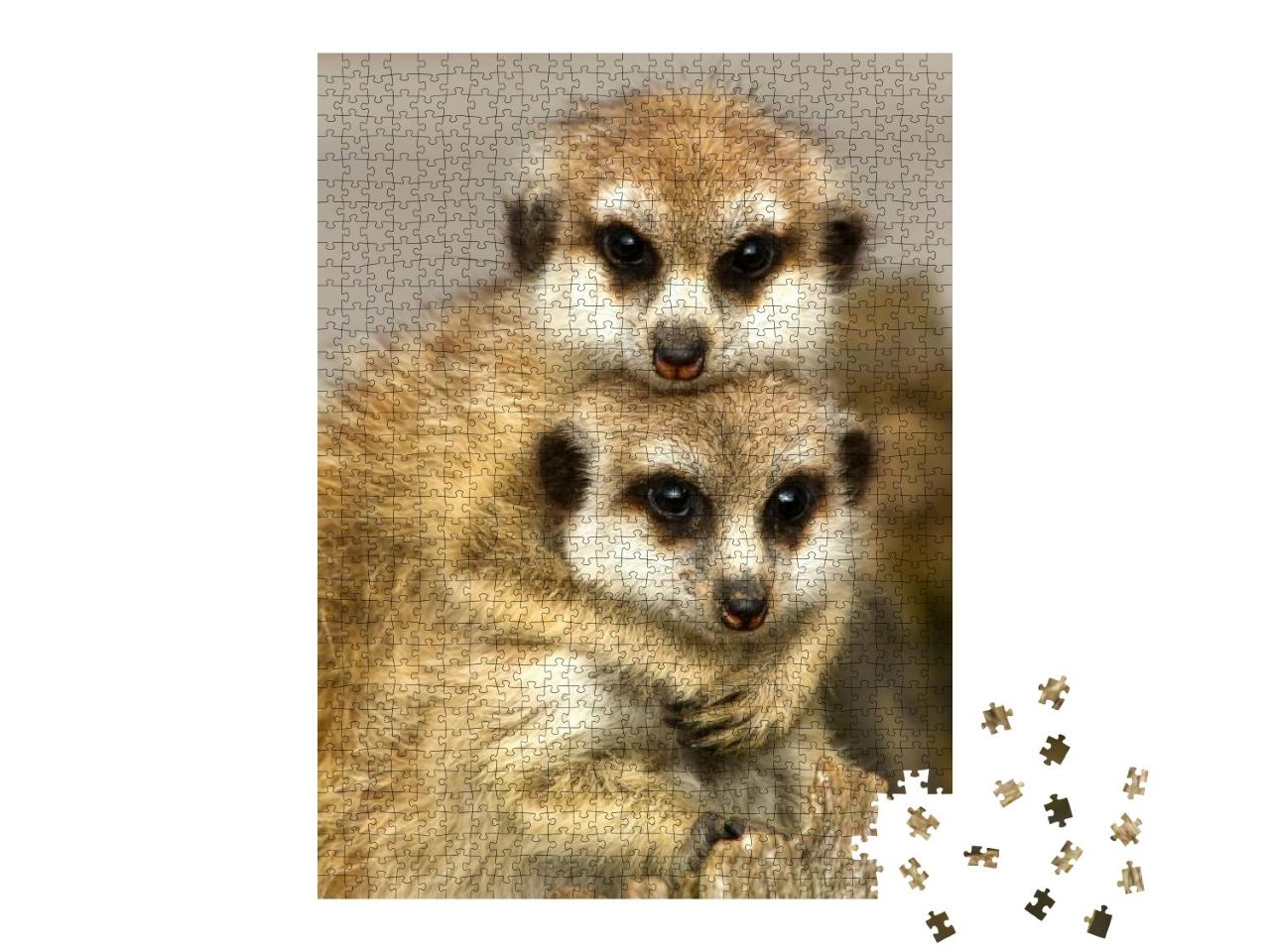 Puzzle 1000 Teile „Ein Paar Schlankschwanz-Erdmännchen kuschelt“